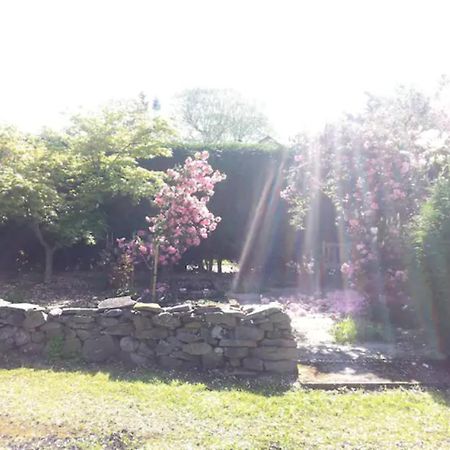 Home Comforts In Peaceful 2 Acres Inverness Bagian luar foto