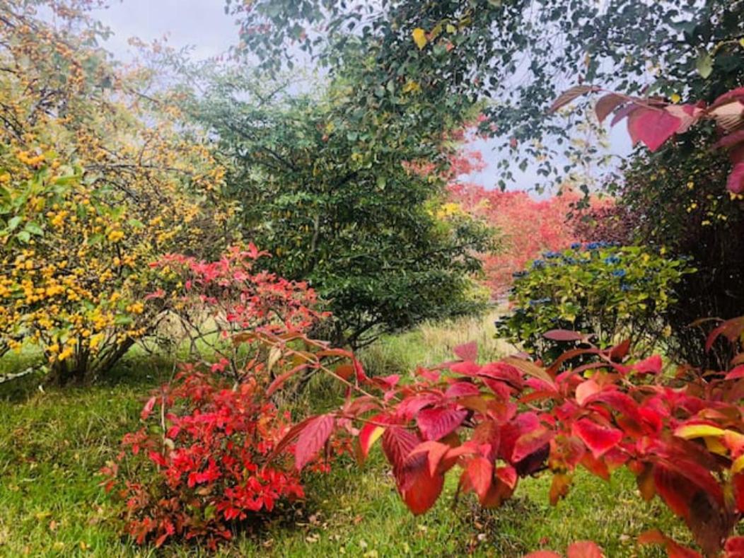 Home Comforts In Peaceful 2 Acres Inverness Bagian luar foto