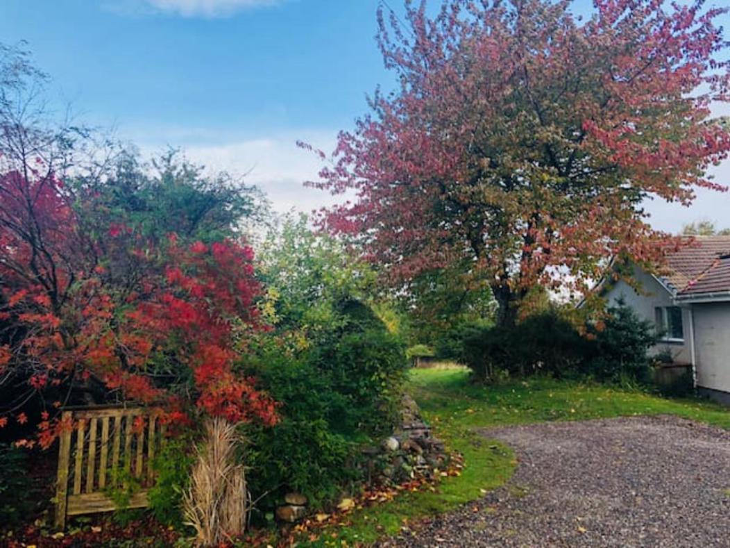 Home Comforts In Peaceful 2 Acres Inverness Bagian luar foto
