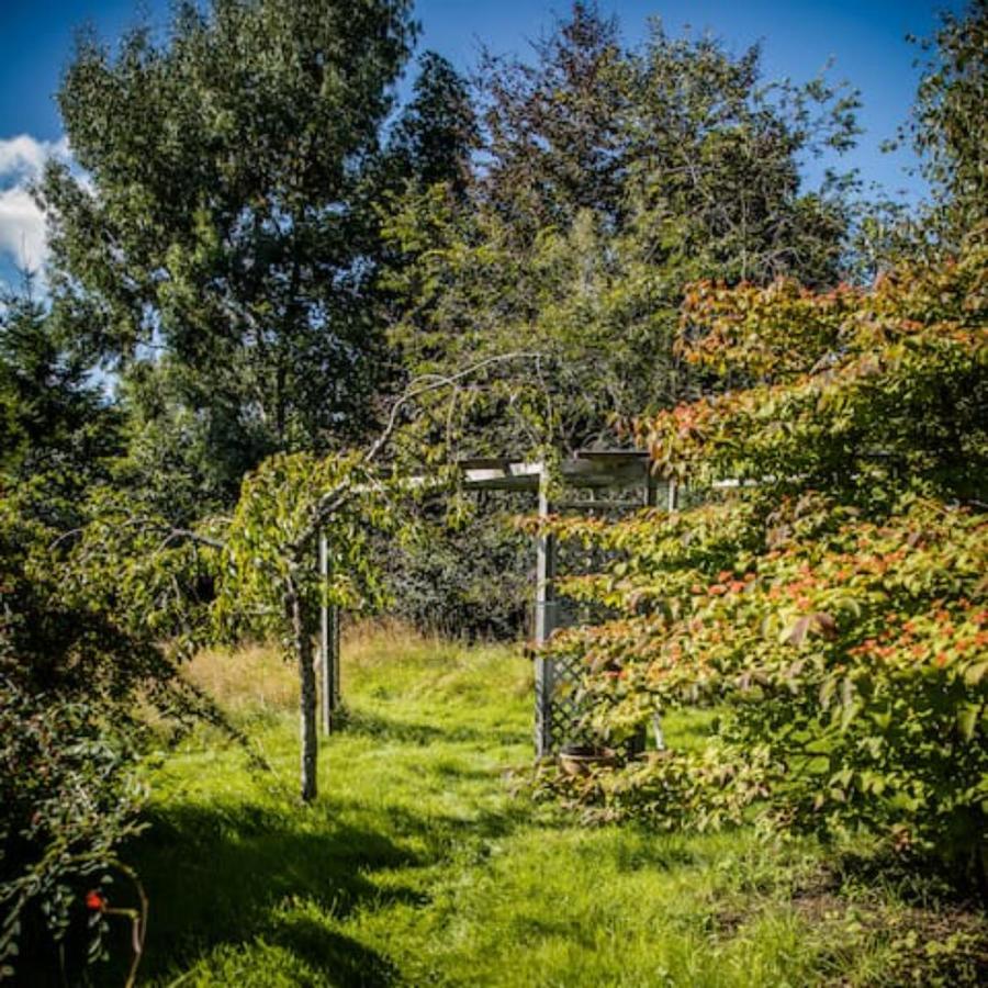 Home Comforts In Peaceful 2 Acres Inverness Bagian luar foto